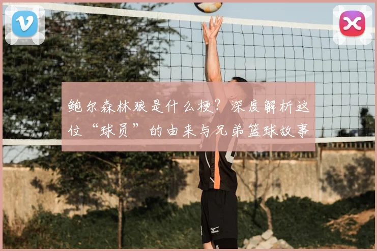 鲍尔森林狼是什么梗？深度解析这位“球员”的由来与兄弟篮球故事