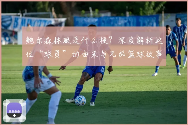 鲍尔森林狼是什么梗?深度解析这位“球员”的由来与兄弟篮球故事